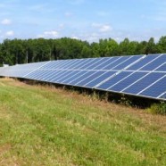 Belwood Solar Farm