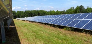 Belwood Solar Farm